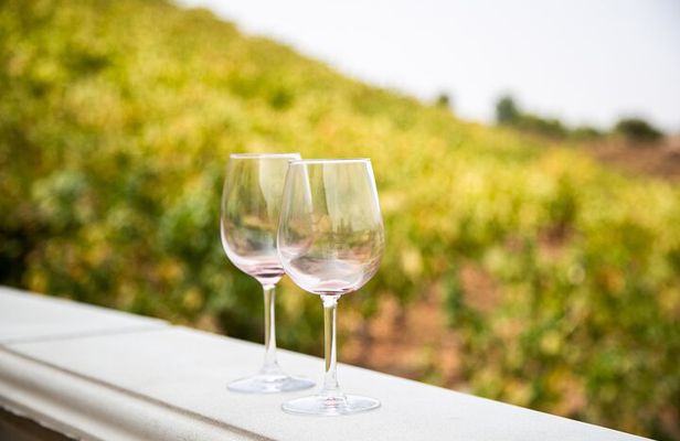 The Temecula Wine Tour from Orange County