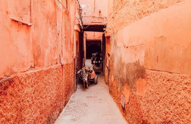 Private Walking Tour in Marrakech 