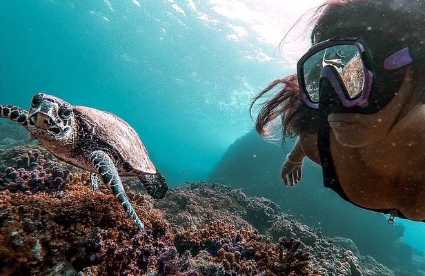 Caño Island all inclusive Snorkeling Tour in small groups