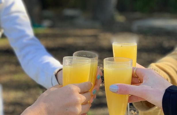 Outdoor Yoga and Mimosas in Austin