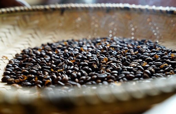 Private Meru Coffee Tour in Nkoaranga