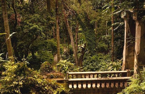 Guided Tour in Tijuca Forest with transfer