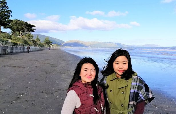 Wellington Region Full Day Private Tour: Get out of the City