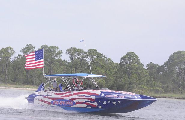 Private Dolphin Spotting Thrill Ride in Destin