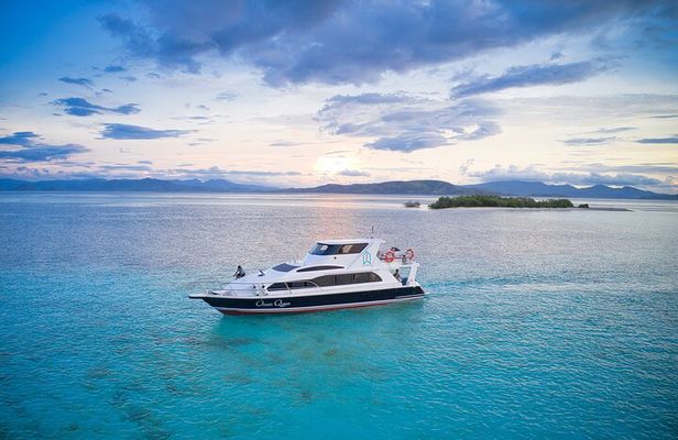 Full Day Trip to Explore 6 Destinations in Labuan Bajo and Komodo