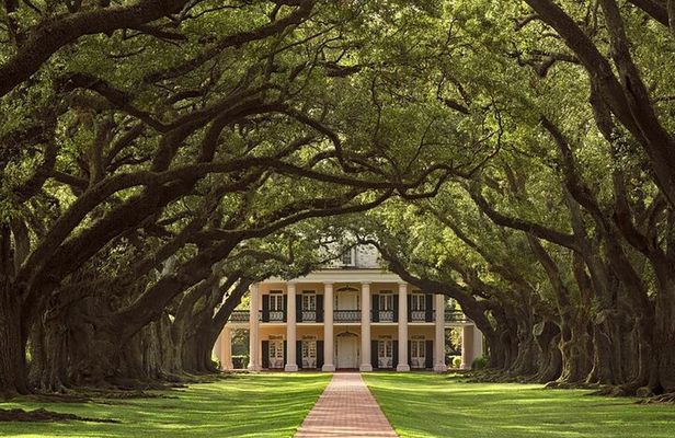 Swamp Boat Ride and Oak Alley Plantation Tour from New Orleans
