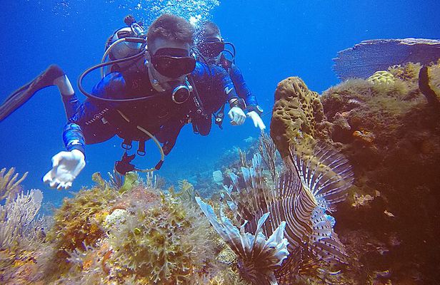 2 Tanks Scuba Diving in Punta Cancun Reefs for Certified Divers
