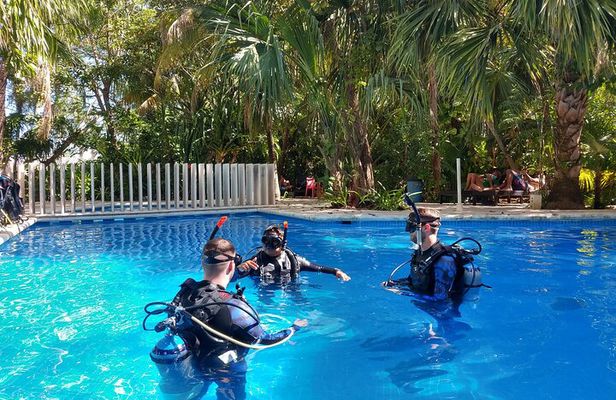 3 Days Class: SDI Open Water Diver Certification in Cancun