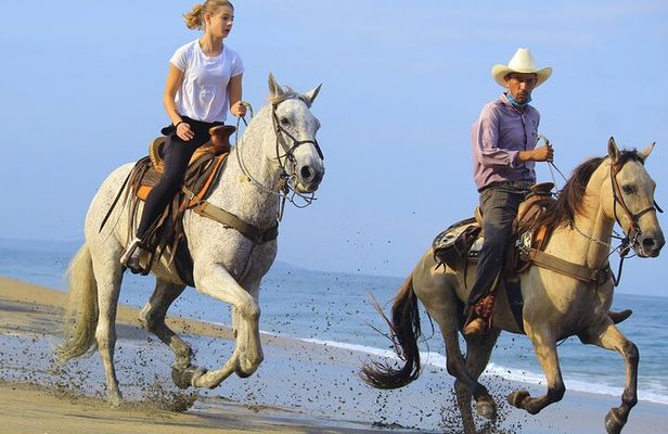 Horseback Riding in Sayulita Through Jungle Trails to the Beach