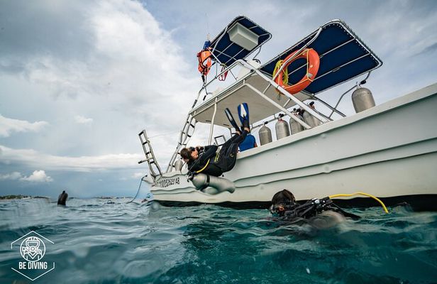 Open Water Course Cozumel