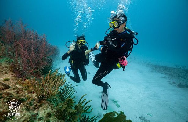 Basic Diver - Bautismo