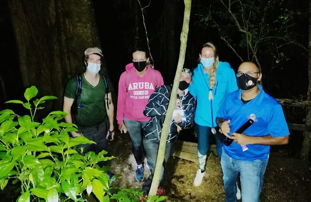 Kinkajou Night Walk Tour