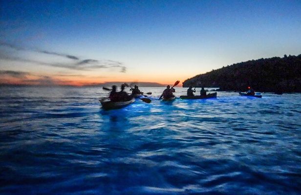 Night Glow Kayaking in Pula