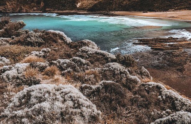 Private Mornington Peninsula Hike and Hot Springs Tour