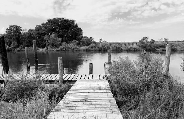 Historical Haunted Bayou Cruise