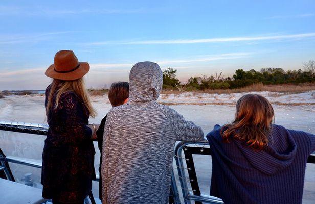Nature Boat Tour with Certified Naturalist in Charleston