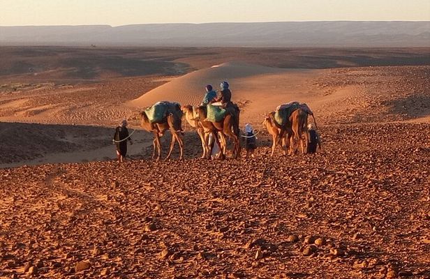 4 Day Private Desert Trek from M'Hamid to Chegaga