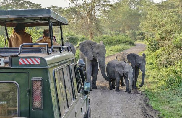 3 Days Serengeti Park & Ngorongoro Crater Adventure Safari