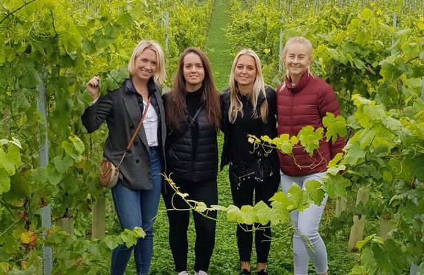 Owners vineyard tour and tasting at Oastbrook