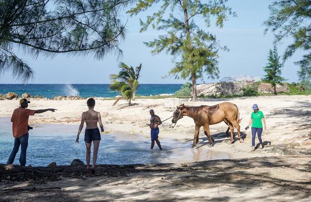 Horseback Riding , Blue Hole And Lunch from Ocho Rios