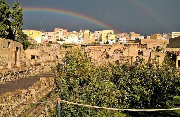 Easy Hercunaleum - Private tour (skip-the-line)