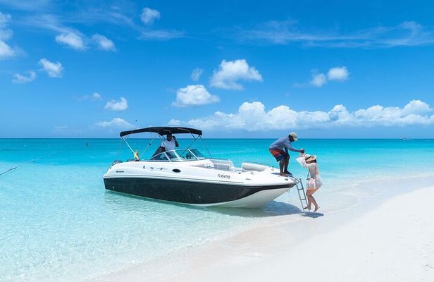 Full day 7hours- beach bbq, snorkel, Iguana island, half moon bay pine cay, Fun!