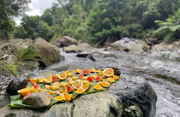 Full-Day Private Tour to Tinajas Waterfalls in El Yunque