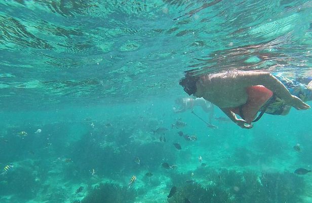 Isla Mujeres Snorkeling Adventure at the Underwater Museum