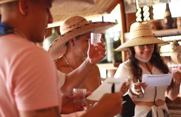 Guided tour of an ancestral Mezcal distillery with transport