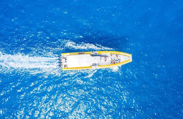 Charter Maui 3 Hour Snorkel to Coral Gardens or Molokini