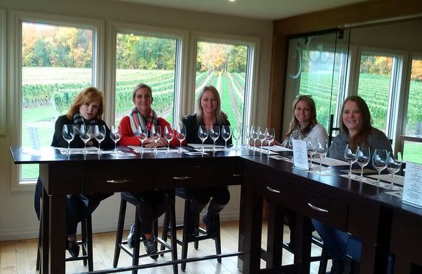 Visit Niagara Falls and experience a VIP Wine Tour
