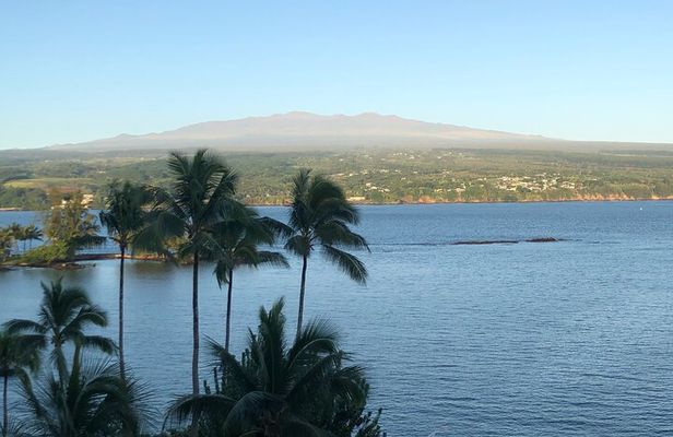 Historic Hilo Bay & Coconut Island SUP Adventure