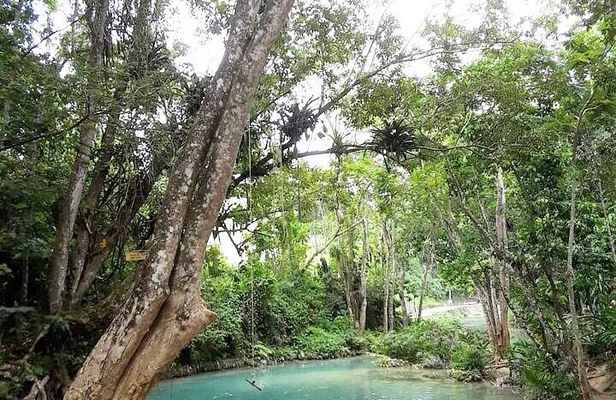 Dunn's Falls and Blue Hole Daytrip with Lunch from Montego Bay & Trelawny