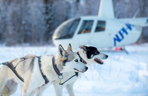 Helicopter Glacier Dogsled Tour