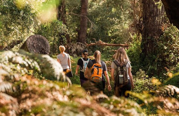 Yanchep Ultimate Adventure Guided Hike Tour
