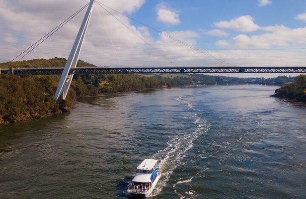 Batman Bridge 4 Hour Luncheon Cruise including sailing into the Cataract Gorge