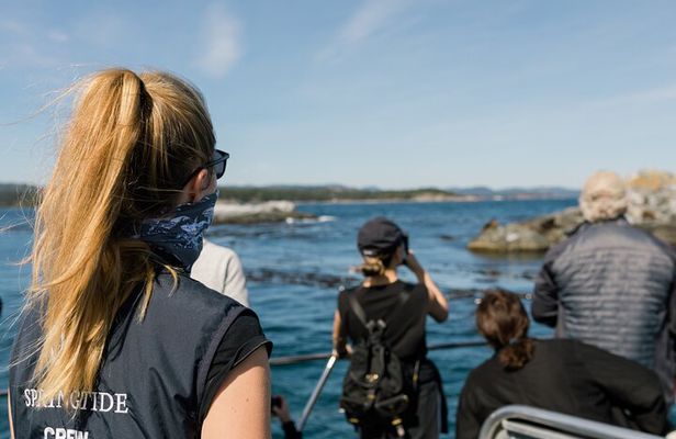 Victoria Whale Watch Tour