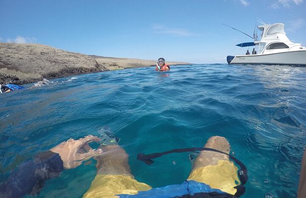 Tour to Tuneles & Cabo Rosa (Isabela Island)
