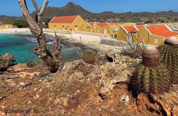 Washington Park Tour with Local Guide on Bonaire