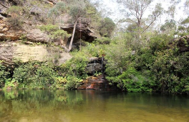Blue Mountains Private Tour | Beyond the Three Sisters