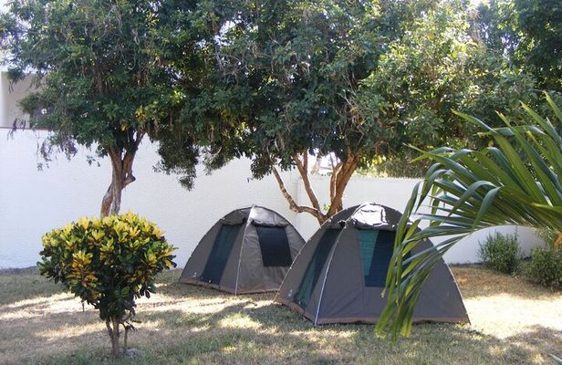 7-Day Private Camping Safari Tour in Kenya with Meals