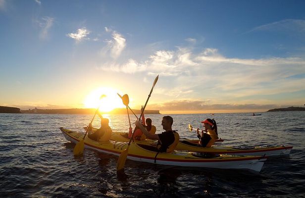 Beautiful Middle Harbour Sunriser / Guided Kayaking Private Tour