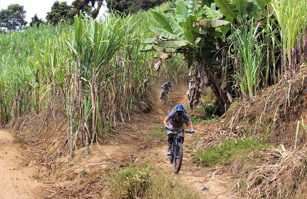 2 Days Mountain Biking Enduro in Hieleros and Mamarumi