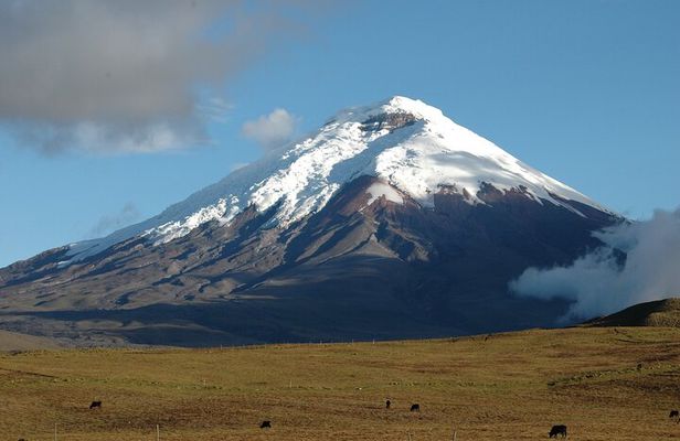 Cotopaxi Volcano Quest!
