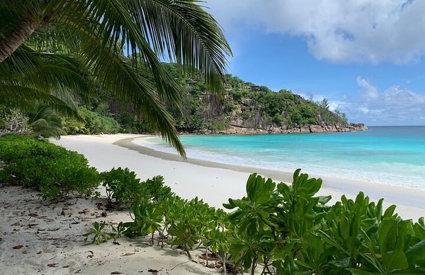 Beaches, swimming & snorkeling | Mahe, Seychelles | Private Tour