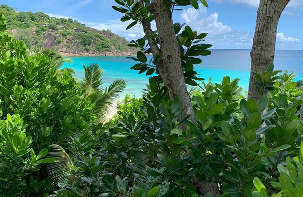 Full day (5-6 hours) island tour on Mahé with pick-up