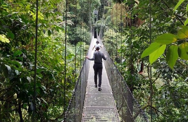 Private Hanging Bridges + Waterfall Tour + Costarrican Lunch