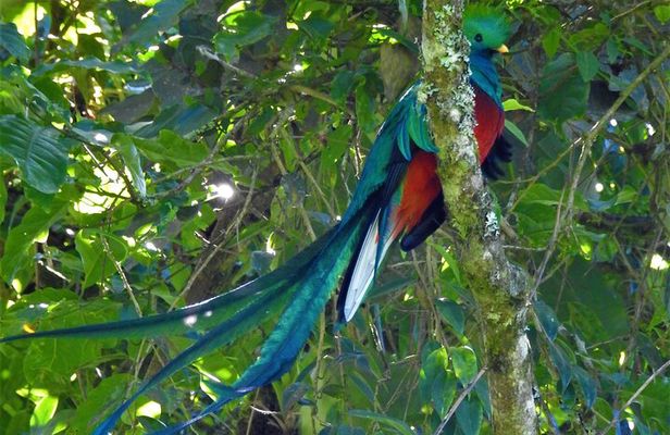 Quetzal tour on lake atitlan