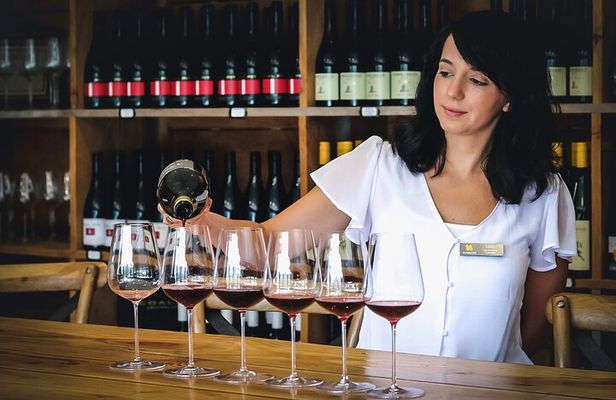 Queenstown Classic Wine Tour: 3 Winery Visits, Cave Tour & Cheese