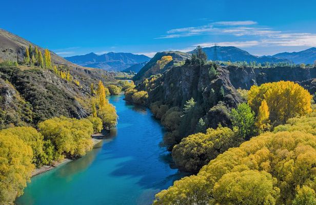 Queenstown Classic Wine Tour: 3 Winery Visits, Cave Tour & Cheese